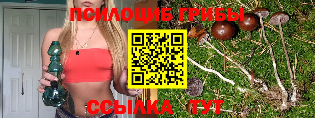 Галлюциногенные грибы GOLDEN TEACHER  Галлюциногенные грибы мицелий  Вход с VPN  закладка  Горячий Ключ 
