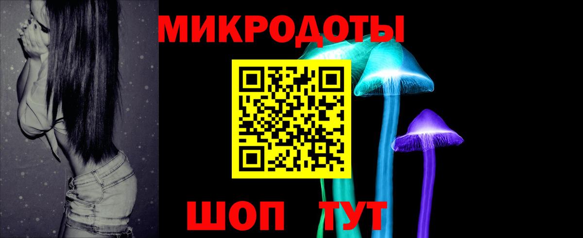 Псилоцибиновые грибы Psilocybine cubensis Горячий Ключ